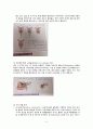 낙태 (문제점,시기,합병증) 3페이지