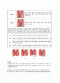 직장과 항문장애(1. 직장과 항문질환 1) 치핵 2) 치열 3) 치루 4) 항문-직장농양 5) 모소낭) 2페이지