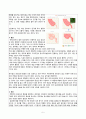 간호,case study,성인(응급실),충수염 (appendicitis) 5페이지