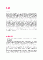 노무현 정부의 외교정책 (보고서) 9페이지