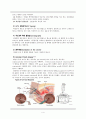 자궁경부 상피내 종양(Cervical Intraepithelial Neoplasia, CIN) 4페이지