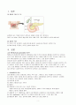급성 췌장염 케이스 스터디(Acute pancreatits 케이스, Acute pancreatits CASE STUDY, Acute pancreatits 간호과정, Acute pancreatits 간호진단, Acute pancreatits, 급성 췌장염 케이스, 급성 췌장염 간호과정,  2페이지