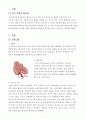 A+ 급성 충수염 케이스 (Acute appendicitis, Acute appendicitis 케이스, Acute appendicitis 간호과정, Acute appendicitis간호진단, 급성 충수염 케이스, 급성 충수염 간호과정, 급성 충수염 사례연구, 급성 충수 2페이지