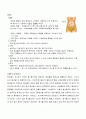 충수염(Appendicitis) 2페이지