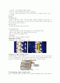 spine 수술 환자 간호 (척추관 협착증 케이스,spine케이스, spinal stenosis 간호과정, spinal stenosis 케이스, 척추관 협착증 간호과정, 척추관 협착증 CASE ) 6페이지