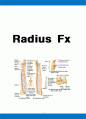 Radius Fx 케이스 스터디( 요골 FX 케이스, 요골 골절 케이스, 요골골절 간호과정, 요골골절, 노골 케이스, Radius Fx 케이스 스터디, Radius Fx 간호과정) 1페이지