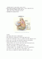 늑막염 케이스 스터디 (A+) 6페이지