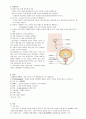 방광염 케이스 스터디 A+ 4페이지