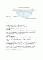 요로결석ureter stone 케이스 4페이지