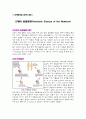 신생아 용혈질환(Hemolytic Disease of the Newborn) 1페이지