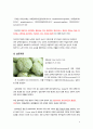 암을 예방하는 천연백신, 피토케미컬(phytochemical) 9페이지