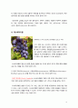 암을 예방하는 천연백신, 피토케미컬(phytochemical) 10페이지