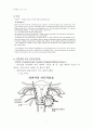  산부인과 케이스 스터디 : Leiomyoma of uterus(자궁근종) 8페이지