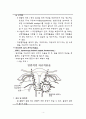 산부인과 케이스 스터디 : Adenomyosis(자궁선근증) 4페이지