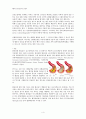 [성인간호학] 내과 케이스 스터디 : Unstable Angina Pectoris(협심증) 4페이지