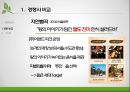 한식뷔페시장 분석 & (주)풀잎채 경영전략 23페이지