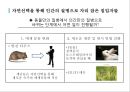 가축의 치명적 대가. 세균이 준 사악한 선물 16페이지