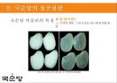 국순당의 차별화 전략 - 法古創新 [ 법고창신 ] 국순당의 법고창신 10페이지
