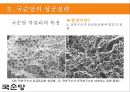 국순당의 차별화 전략 - 法古創新 [ 법고창신 ] 국순당의 법고창신 11페이지
