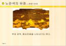 yellow 노란색 컬러 이야기 6페이지