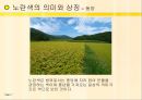yellow 노란색 컬러 이야기 7페이지