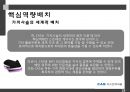 CAS전자저울 기업분석 18페이지
