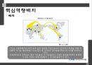 CAS전자저울 기업분석 19페이지