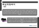 CAS전자저울 기업분석 20페이지
