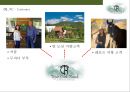 트리플 크리그 랜치 호텔 - 자연 휴양형 호텔경영-(Triple Creek Ranch HOTEL) 미국 록키산맥 대자연속의 편안함을 제공하는 트레블레져 선정 세계1위 호텔 14페이지