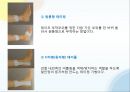 스포츠 테이핑 (기본/기초) 17페이지