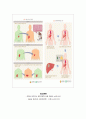 Liver cancer (간암) 9페이지