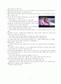 고위험 신생아와 가족의 간호 7페이지