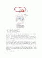 심전도(EKG)의 기본원리 14페이지