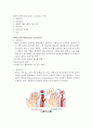 레이노증후군(Raynaud's syndrome) 간호 2페이지