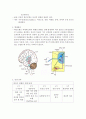 파킨슨병(Parkinson’s disease, PD) 간호 3페이지