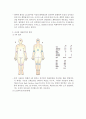 화상환자 간호 6페이지