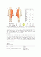 화상환자 간호 7페이지