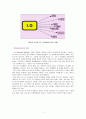 1.가드너(Gardner)의 다중지능이론을 설명하고, 그 교육적 시사점을 논하시오. 2.에릭슨(Erikson)의 성격발달 8단계설에 대해 설명하고, 그 교육적 시사점을 논하시오. 3페이지