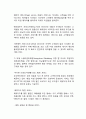 아웃백 기업분석과 아웃백 4P,STP,SWOT분석 다양한 마케팅사례분석과 아웃백 향후전략제언 9페이지