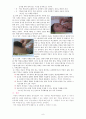 아동의 투약관리 8페이지