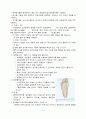 아동검사물수집 6페이지