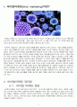 바이럴 마케팅(viral marketing) 3페이지