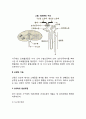 신장의 구조와 기능, 신기능에 영향을 주는 호르몬, 신장질환 검사 4페이지