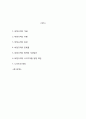 (비정규직 연구레포트) 비정규직 개념,현황과 비정규직 문제점과 해결방안제언및 나의의견정리 2페이지