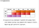 아시아나항공 성공비결과 아시아나항공 마케팅사례분석및 아시아나항공 향후방향제언 PPT 17페이지
