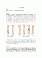 OS CASE STUDY : 골절 (Fracture) 3페이지
