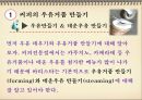 커피의 모든 것-5 32페이지