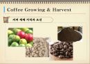 커피의 모든 것-1 15페이지