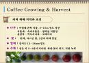커피의 모든 것-1 19페이지