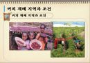 커피의 모든 것-1 28페이지